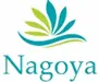 Vật Liệu Mài Mòn Nagoya – Công Ty TNHH MTV Thương Mại NAGOYA