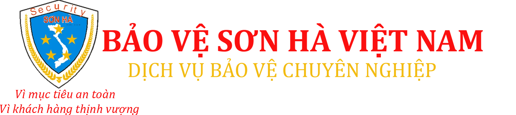 Công ty Bảo vệ Sơn Hà Việt Nam