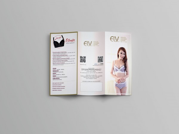 ELV-trifold-brochure1-600x450