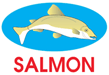 Cân Điện Tử SALMON – Công Ty TNHH Quốc Hùng