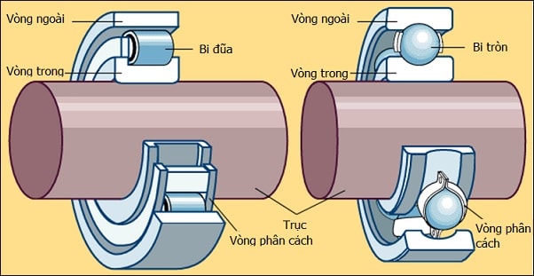 Vòng bi hình 1