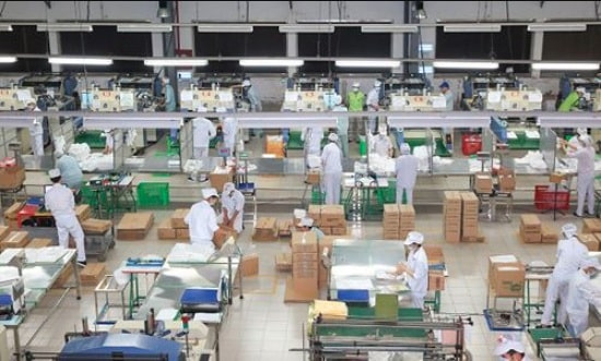 sản xuất bao bì hình 1