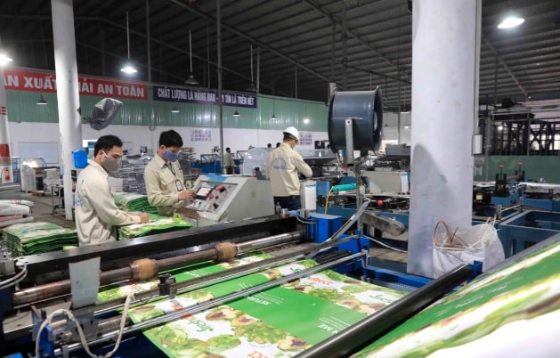 sản xuất bao bì hình 2