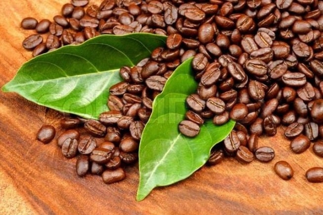 sản xuất cà phê 1a