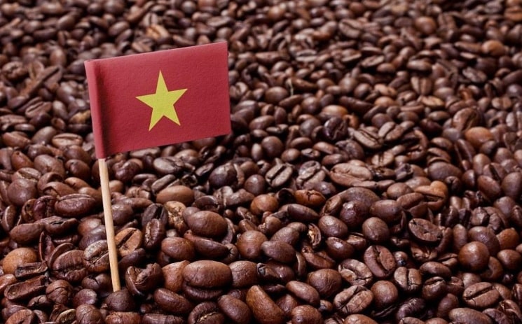 sản xuất cà phê 1