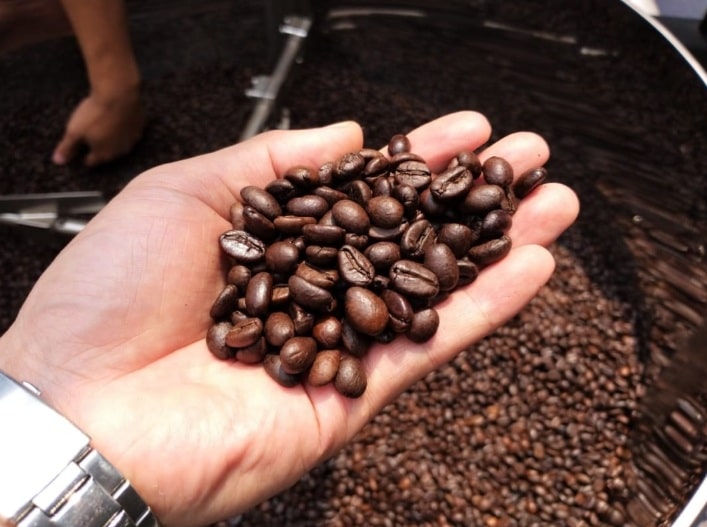 sản xuất cà phê 2