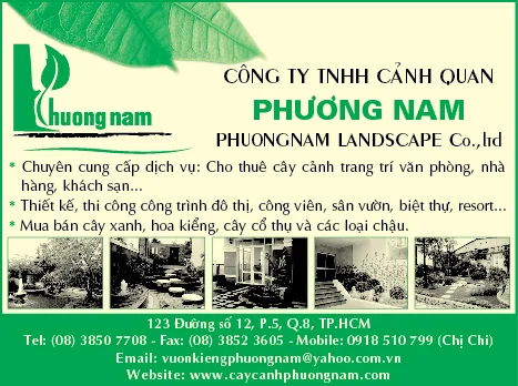 Những Trang Vàng Việt Nam